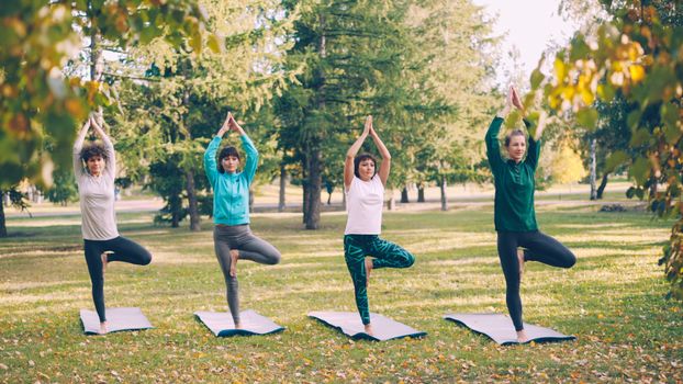 Yoga Səhər Sessiyası